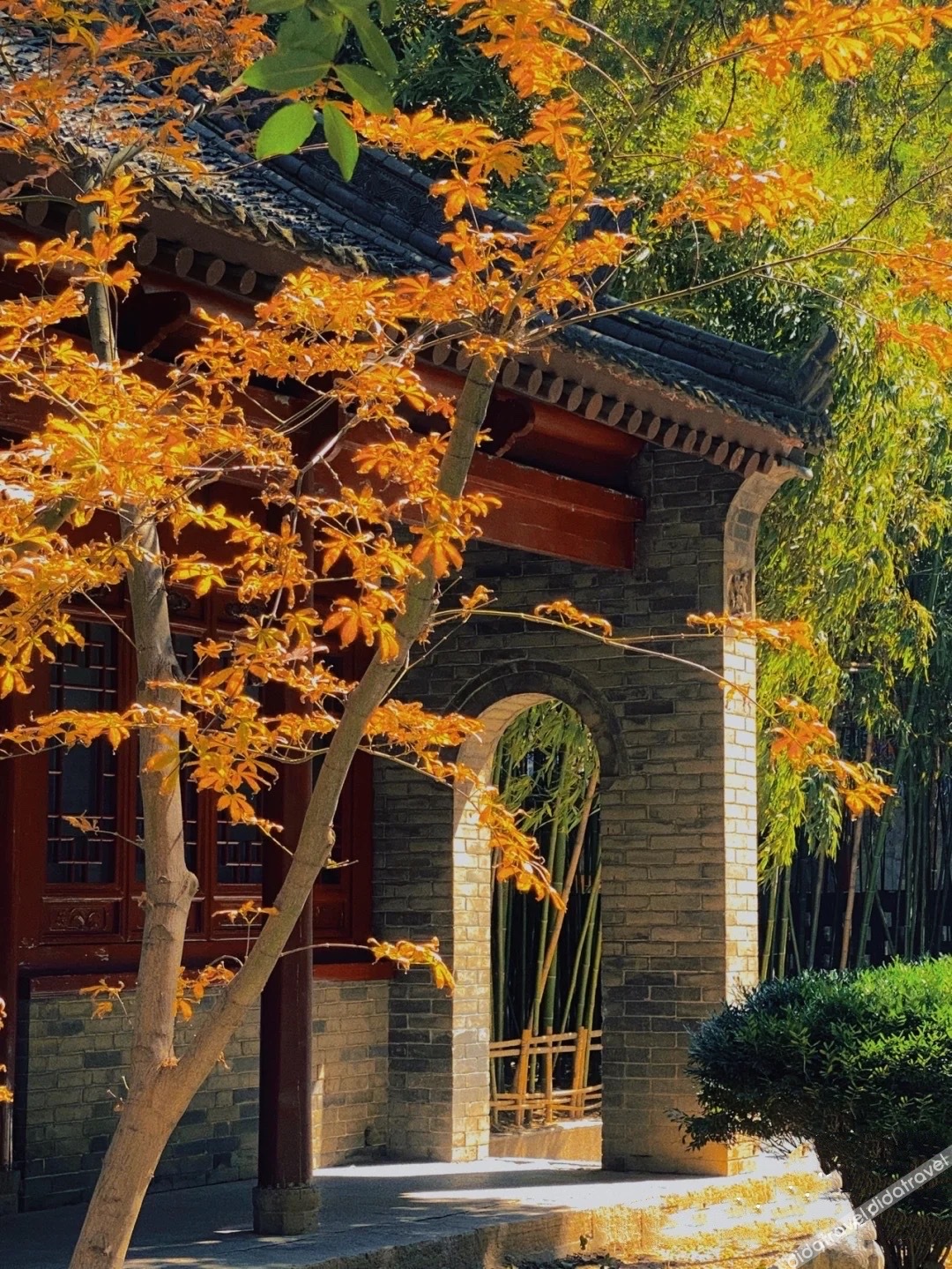 HEONIC ART WELLNESS HOTEL & SUITES - Signature Family Suites - Cat Therapy - Aesop SPA 3*