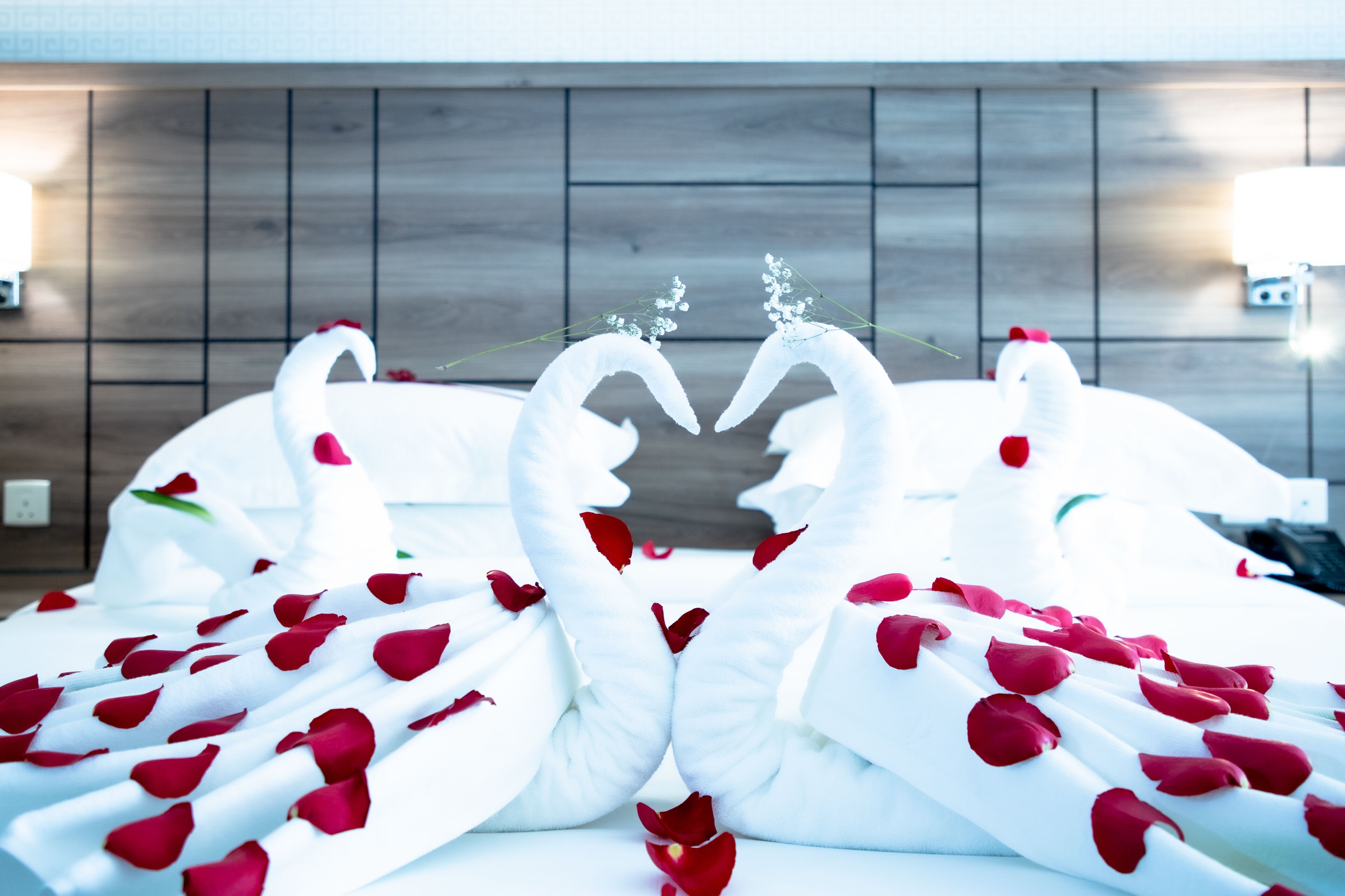 Season Star Hotel 0*