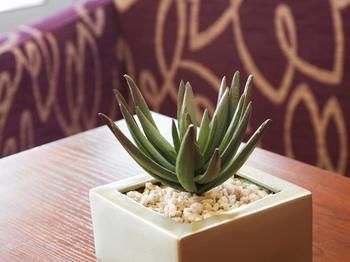 Mercure Johannesburg Randburg Hotel 3*