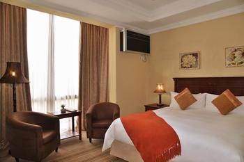 Radisson Hotel and Convention Centre OR Tambo Airport 4*