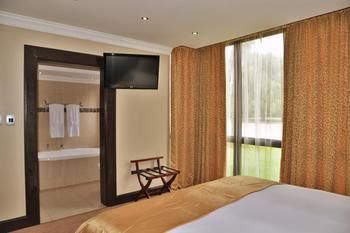 Radisson Hotel and Convention Centre OR Tambo Airport 4*