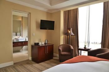 Radisson Hotel and Convention Centre OR Tambo Airport 4*