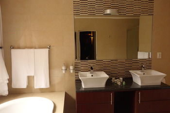 Radisson Hotel and Convention Centre OR Tambo Airport 4*