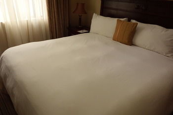 Radisson Hotel and Convention Centre OR Tambo Airport 4*