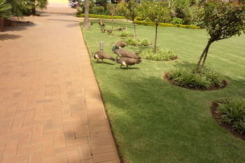 Radisson Hotel and Convention Centre OR Tambo Airport 4*