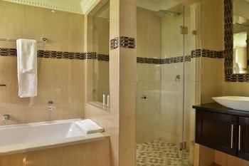 Radisson Hotel and Convention Centre OR Tambo Airport 4*