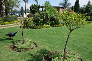 Radisson Hotel and Convention Centre OR Tambo Airport 4*