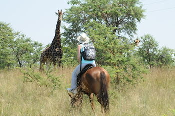 Protea Hotel by Marriott Polokwane Ranch Resort 4*