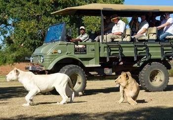Protea Hotel by Marriott Polokwane Ranch Resort 4*