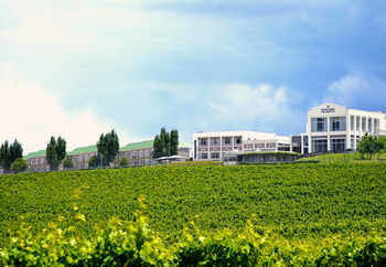 Protea Hotel by Marriott Stellenbosch 3*