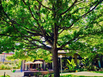 Premier Resort The Moorings, Knysna 4*