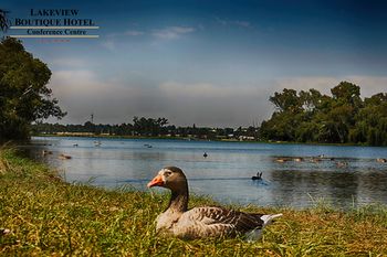Lakeview Boutique Hotel & Conference Center 5*