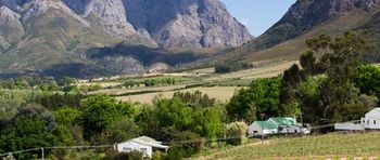 Mont Rochelle Hotel & Vineyard 5*