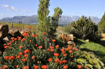 Boschendal Farm Estate 4*