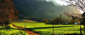 Boschendal Farm Estate 4*