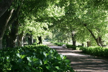 Boschendal Farm Estate 4*