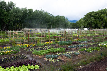 Boschendal Farm Estate 4*