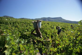 Boschendal Farm Estate 4*