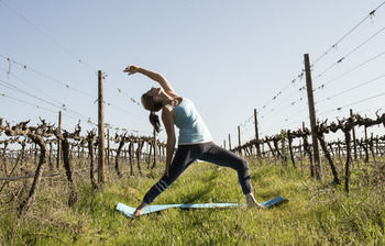 Boschendal Farm Estate 4*