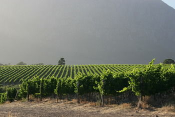 Boschendal Farm Estate 4*