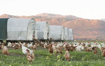 Boschendal Farm Estate 4*
