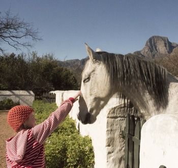 Boschendal Farm Estate 4*