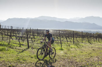 Boschendal Farm Estate 4*