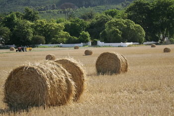 Boschendal Farm Estate 4*