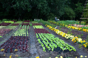 Boschendal Farm Estate 4*