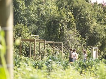 Boschendal Farm Estate 4*