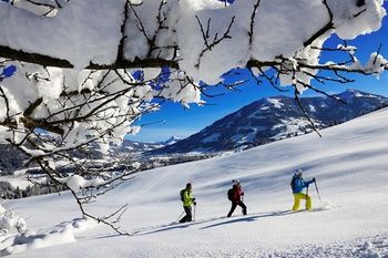 Hotel Bichlingerhof 4*