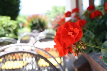 Hotel Bichlingerhof 4*