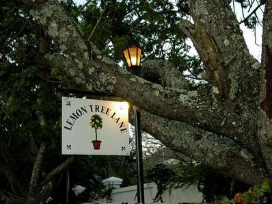Lemon Tree Lane Guest House 4*