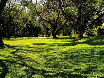 Sabi River Sun 4*