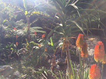 A Riverbed Guesthouse 4*