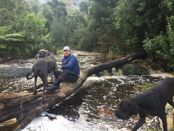 A Riverbed Guesthouse 4*