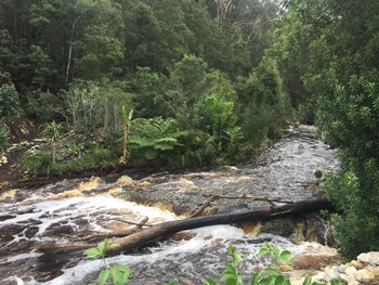 A Riverbed Guesthouse 4*