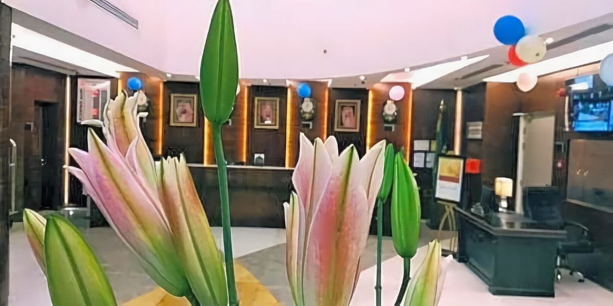 Lumain Hotel 0*