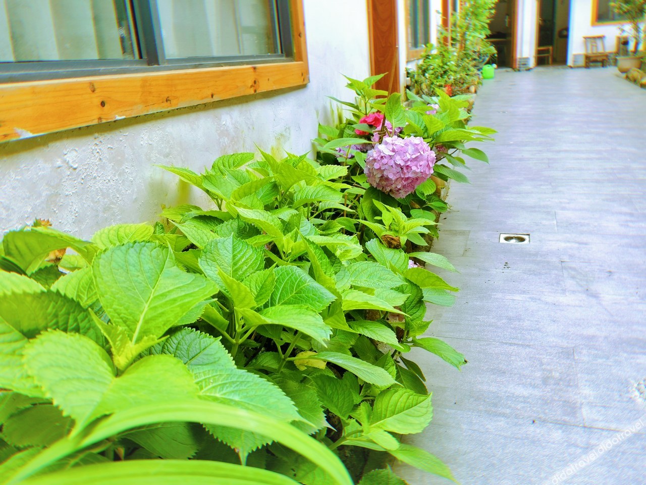 Ting Yutang Homestay 2*