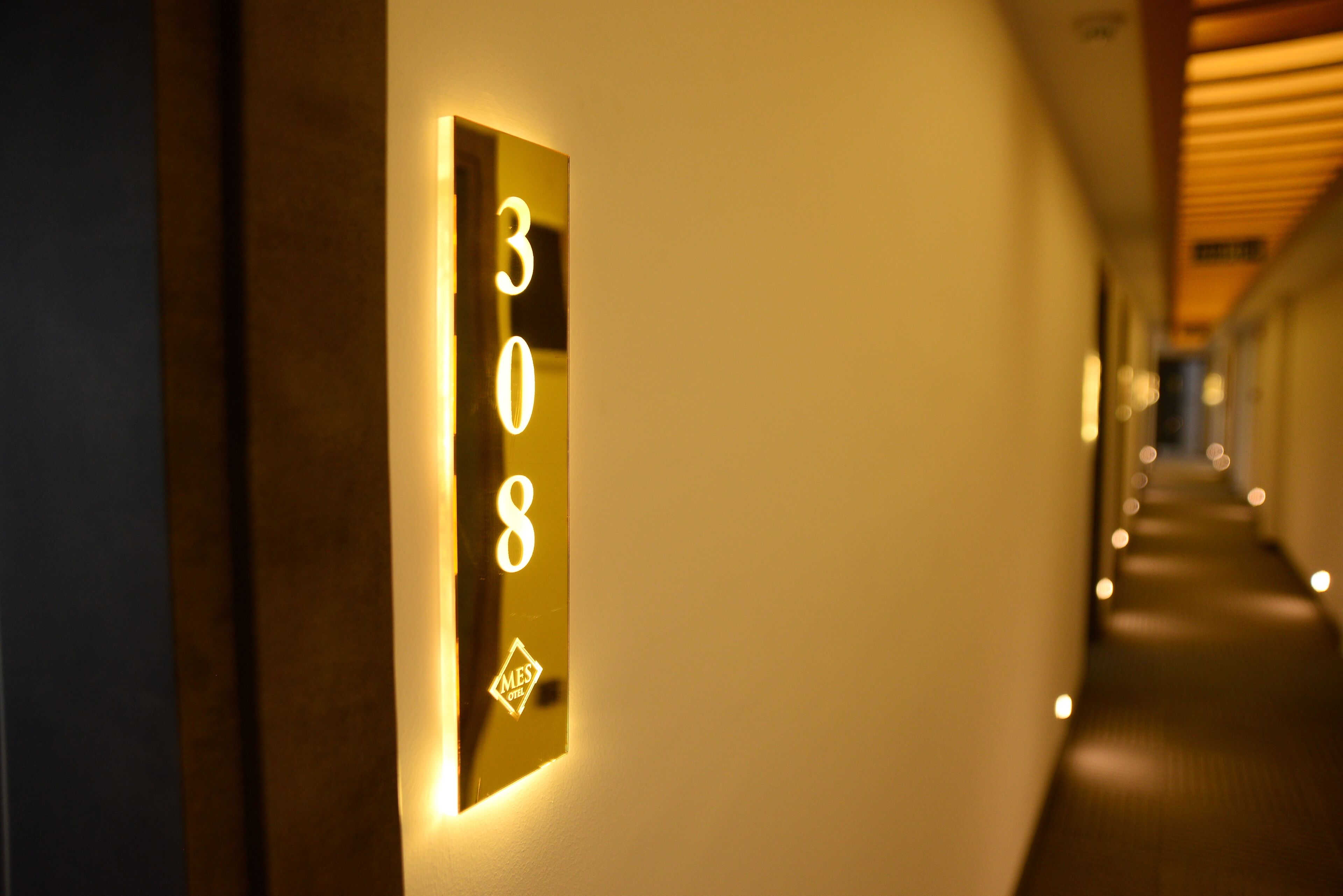 Samsun Mes Hotel & Spa 2*