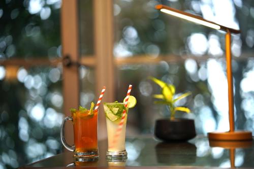 Elephant Passage Resort Munnar 3*