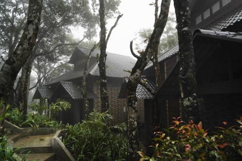 Elephant Passage Resort Munnar 3*