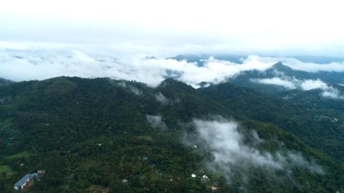 Elephant Passage Resort Munnar 3*