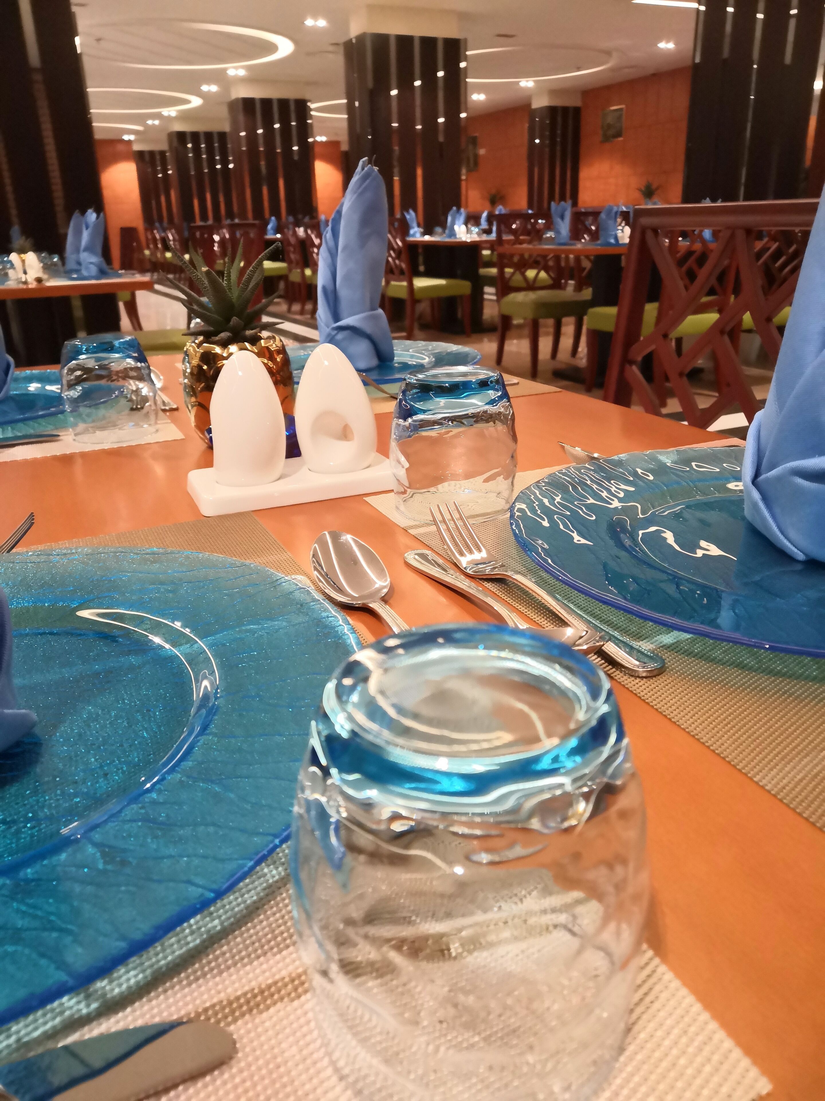 Holiday Villa Hail Hotel 4*