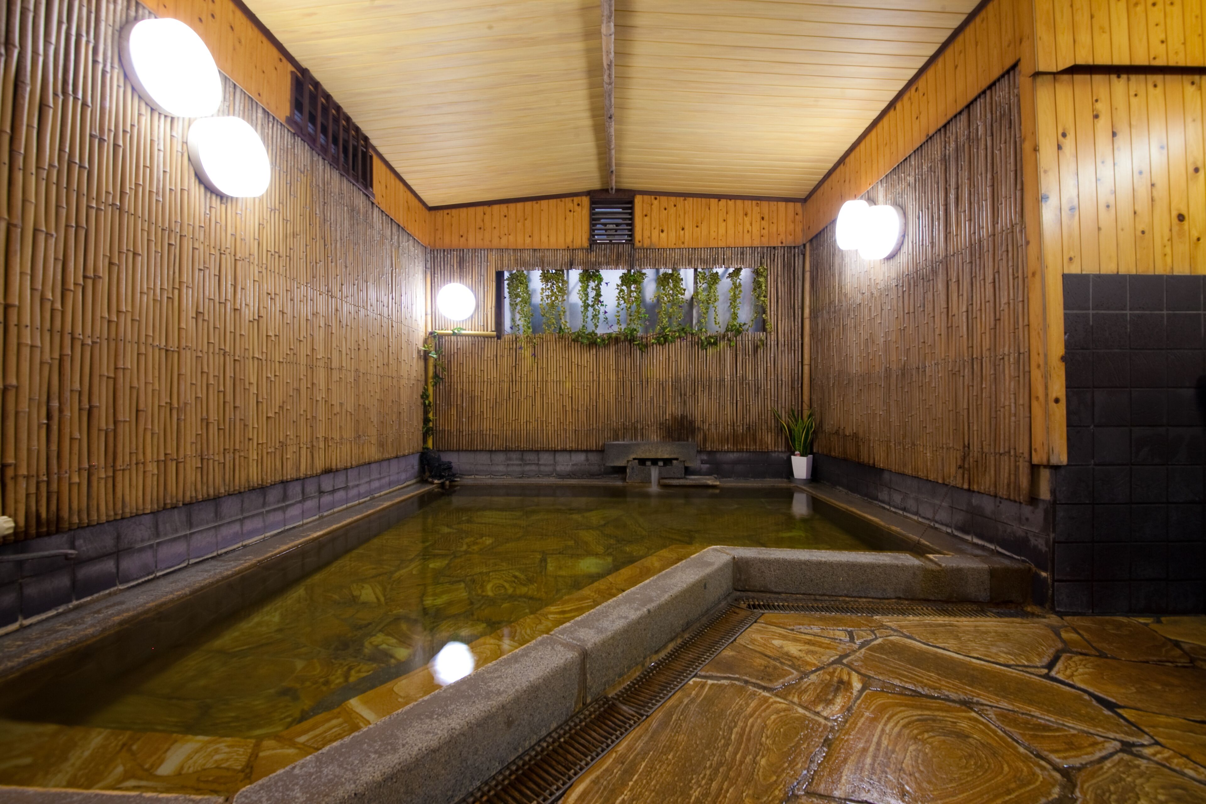 JAPANESE INN HOTEL MATSUKISO 2*