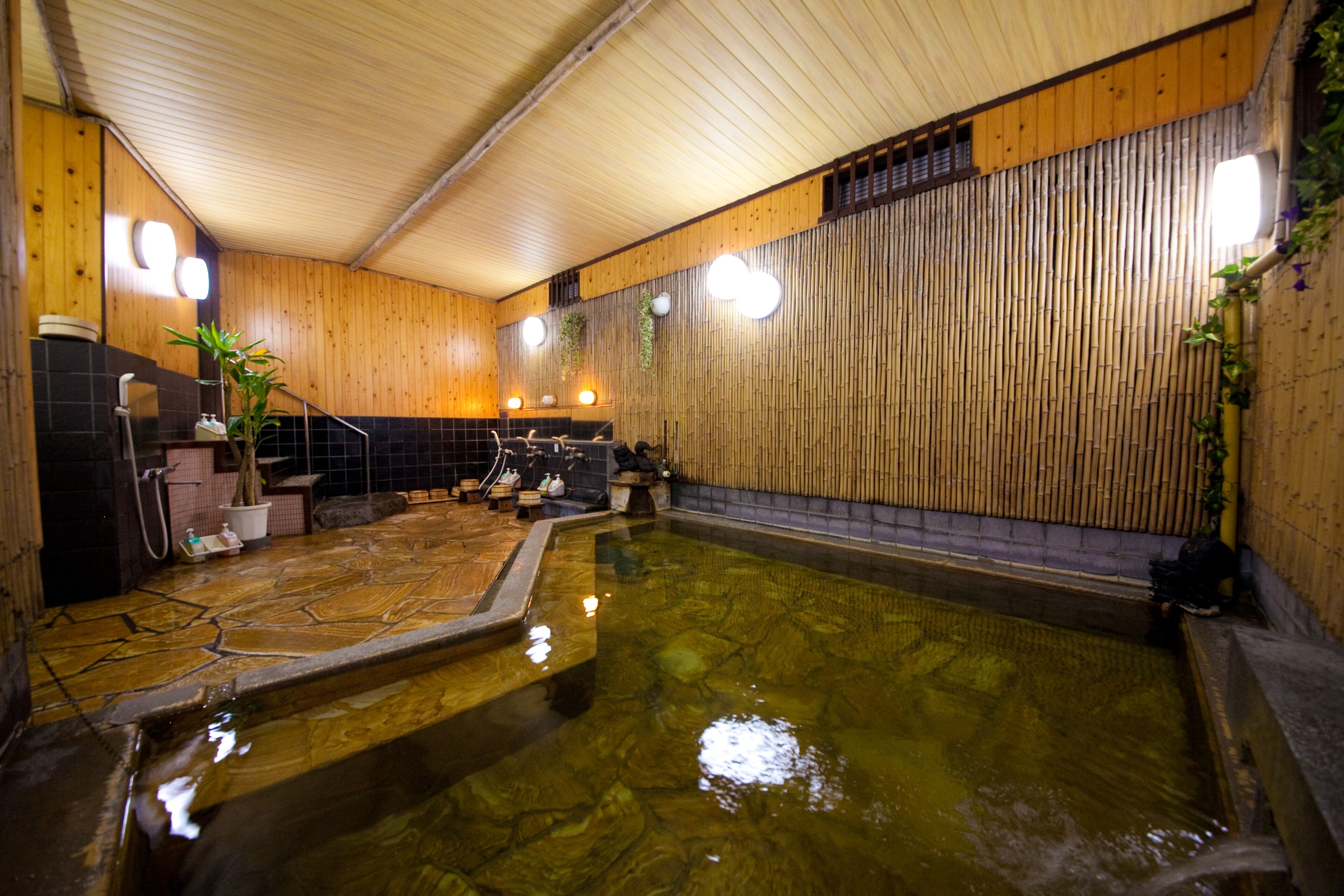 JAPANESE INN HOTEL MATSUKISO 2*