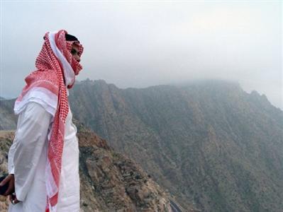 Intercontinental Taif 4*