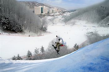 VivaldiPark 4*