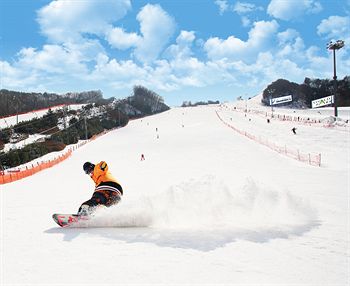 VivaldiPark 4*