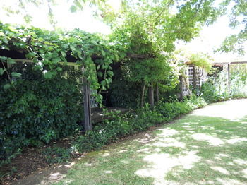The Devon Valley Hotel 4*